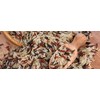 Wild-Rice-Gourmet-Blend-Black-Brown-and-Red-GMO-free-Premium-Quality (5 LB)