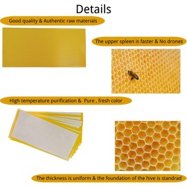 rejopfad Bee Honey Sheets Beeswax Sheets 30Pcs, Beehive Wax Bee Hive Frames Wax Foundations