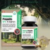 Antibacterial Antioxidant Immunity Propolis Flavonoid Free radicals Cell protection Autoimmune