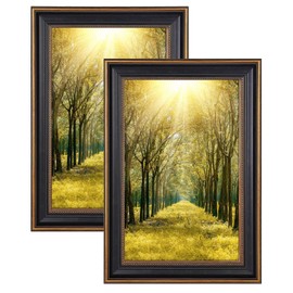 Space Art Deco, 12x18 Picture Frame without Mat for 12x18 Photo, High Definition Real Glass Wall Display (Ornate Gold/Black, 2-Pack)