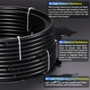 TAILONZ PNEUMATIC Air Line DOT 1/4 inch od Black Pneumatic