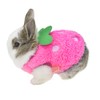 ANIAC Bunny Clothes for Rabbits Warm Kitten Vest Fleece XXXS