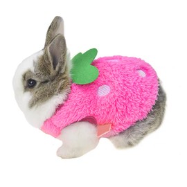 ANIAC Bunny Clothes for Rabbits Warm Kitten Vest Fleece XXXS Dog Shirt Cozy T-Shirt for Bunny Guinea Pig Puppy Mini Dog and Small Animals(2S,Pink)