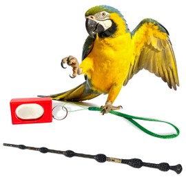 NICERINC PET Parrot Training Clicker with Target Stick, Getting Started Bird Clicker Training Kit, All Bird Breeds Training Stick Foster Discipline and Behavior Training, for Parrots Birds Lovers