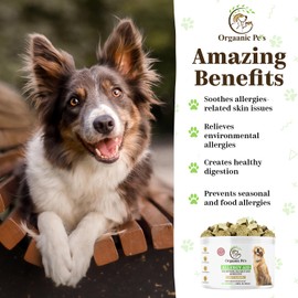 Orgaanic Pet's LLC Herbal Dog Allergy Relief with SEA KELP - Colostrum - QUERCETIN - Mushrooms - Omega + 11 Natural Allergy Relief Herbs - Soft Chews for Skin & Seasonal Allergies