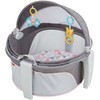 Fisher-Price On-The-Go Baby Dome, Rosy Windmill, Grey/Pink