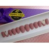 Perfect Nails Press On Uñas Postizas Press On Cortas