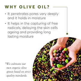 Aphrodite Anti-Aging & straffende Gesichtspflege Tagescreme - Natürliche Feuchtigkeitscreme Gesicht mit Bio-Olivenöl & Phyto-Retinol - Gesichtscreme Anti Falten (50 ml /1,70 fl oz)