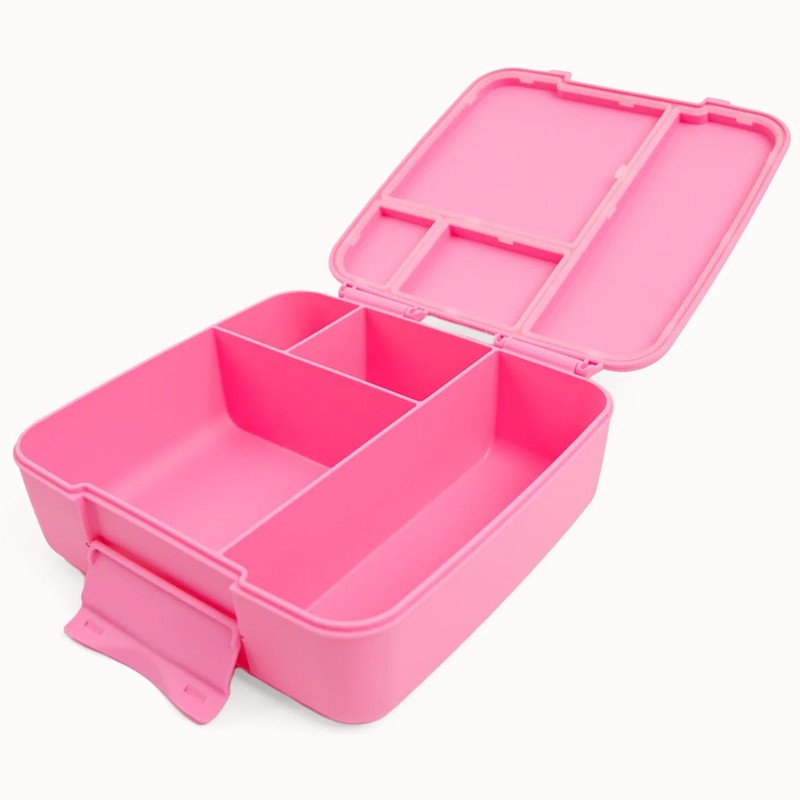 MontiiCo Bento Feast Lunch Box, Splash