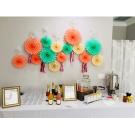 Mint Peach Birthday Party Decorations Peach Cream Mint Green 7pcs Tissue Paper Fan Flower for Mint Peach Baby Shower Decorations/Mint Peach Wedding Bridal Showe/Bachelorette Party Decorations