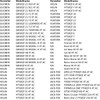 Area1 Tuning Variomatic for 50 cc China 4-Stroke Scooter Compatible