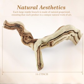 Large Wood Reptile Branch for Bearded Dragon 14-17" Length Driftwood Reptile Climbing Habitat Decoration for Terrarium Tree Trunk Ornament Gecko Frog Chameleon Spider