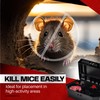 Pre Baited Mouse Boxes - 5 Pack for Effective Mouse