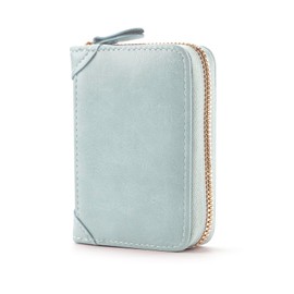FACATH Card Holder with Coin Compartment - Leather Credit Card Holder with Lots of Space for up to 20 Cards - Wallet for Men and Women with RFID NFC Protection, A-Blue, Minimalist