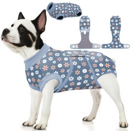 PetWarm Dog Surgical Recovery Suit Male,Bodysuit for Abdominal Wounds Skin Disease,Professional Pet Recovery Shirt Dog Abdominal Wounds Bandages Substitute E-Collar & Cone,Flower Pattern,Blue,XS