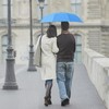 OXTXO Compact Travel Umbrella - Windproof and Strong Mini Umbrella