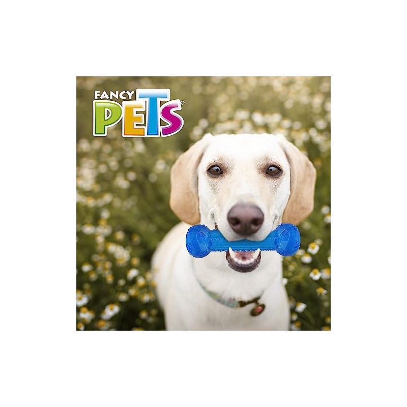 Fancy Pets Juguete Mancuerna Prisma Grande con Sonido para Perros