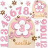 Wonderjune 26 Pcs Baby Monthly Milestone Cards Set, 7 x