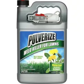 Pulverize Weed Killer For Lawns Concentrate- 1 Gallon