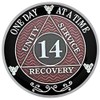Simply Minimal AA 14 Year Silver Color Plated Recovery Coin,