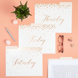 Paper Junkie 12-Pack Decorative File Folders, Daily, 9 x 11.5 Inches