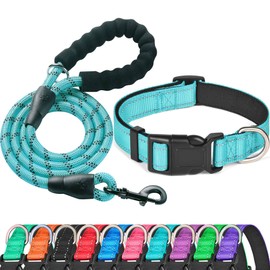 Ladoogo Reflective Dog Collar Padded with Soft Neoprene Breathable Adjustable Nylon Dog Collars for Small Medium Large Dogs (Small (Pack of 1), Blue Collar+Leash)