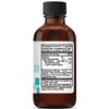 Kovite Ginger Zinger Immune Syrup - 4 oz.
