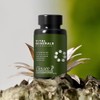 Elevaté Vital Minerals | Suplemento Multimineral | 90 Cápsulas de
