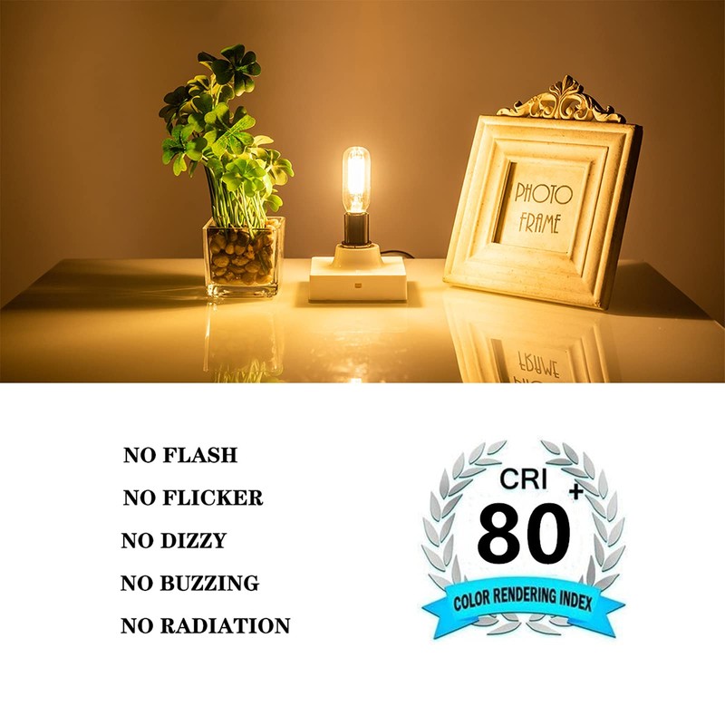 SHUWDKAR 12 Volt LED Candelabra Bulbs E12 Base 4W Warm