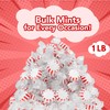 JD Bargain Outlets Starlight Peppermint Mints - 1 lb Bulk