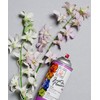 Design Master Just for Flowers Spray Dye, Lilac, 4 Piece