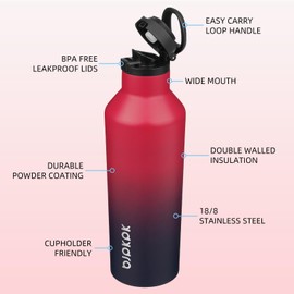 BJPKPK Insulated Water Bottle With Straw 25oz Stainless Steel Water Bottles With 2 Lids And Carry Handle Reusable Travel Metal Thermos,Charming Black Red