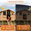 Automatic Chicken Coop Door Solar Powered with Remote Control Setup