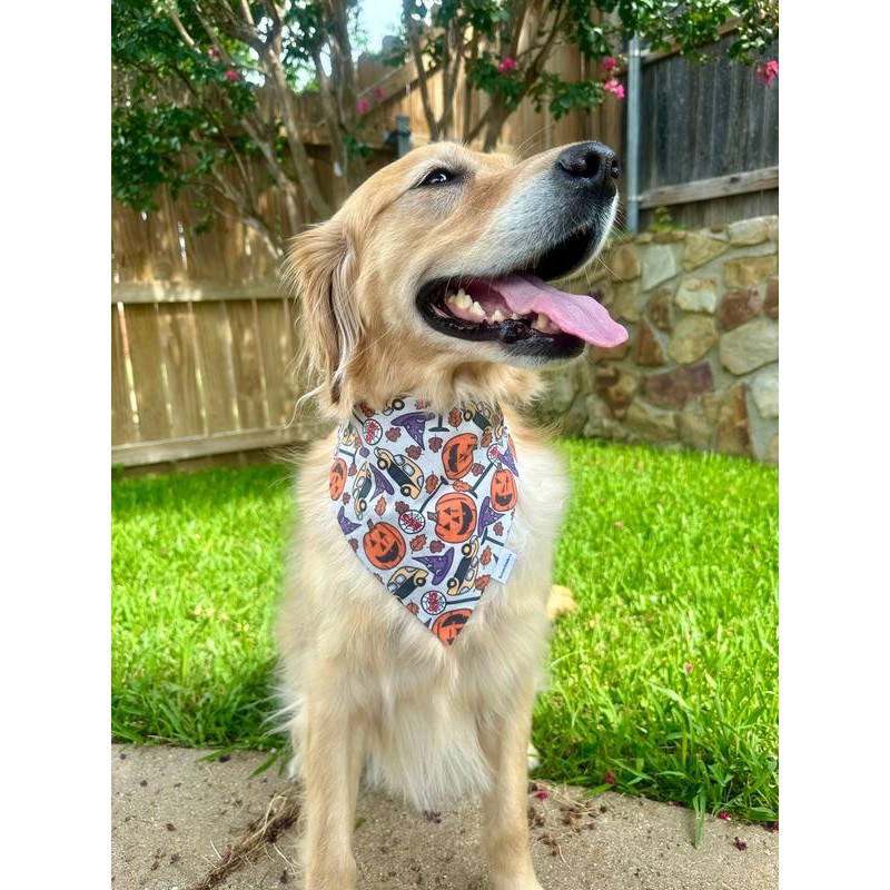 Howl-O-Ween Town Pup:_L: Fits up to 22"