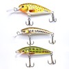 EVERBAY Dorado Fishing Lures Set - Artificial Hard Crank Baits-