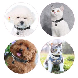 Sheens Collar para Gatos con Campana, Collar de Gato Ajustable, Gatos Hebilla Seguridad Liberación Rápida(Negro XS)