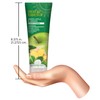 Desert Essence, Thickening Conditioner, Green Apple and Ginger, Vegan, 8