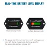 Runleader 36V Battery Fuel Gauge Meter,Battery Level Meter,Lead Acid Battery
