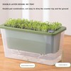 Self-Watering Indoor Planter, Indoor Planter Box, Garden Floral Cultivation Box