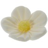 Günthart Edible Small Fine Sugar Flowers in White, Pack of