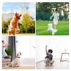 Smart Interactive Dog Ball Toy with LED Lights IP54 Waterproof