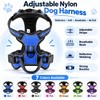 Adjustable Reflective Dog Harness for Daily Walks – Soft Breathable