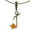 Baltic amber and sterling silver 925 alphabet letter t pendant