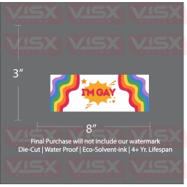 VISX I'm Gay rainbow special Sticker Bumper Funny JDM Slammed lbtqg queer joke prank
