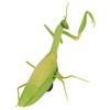 RC Mantis Children Simulated IR Remote Control Mantis Mischief Toy