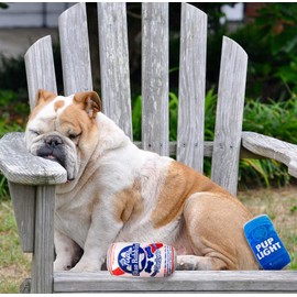 Funny Plush Squeaky Beer Dog Toys - Medium, Small and Large Dog Birthday Gifts - Cool Stuffed Parody Toys for Dogs (2 Pack) (Mix)