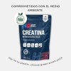 CREATINA 450 GR HERO SPORT