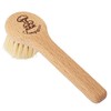 REDECKER Natural Pig Bristle Mushroom Brush Cleaner with Beechwood Handle,