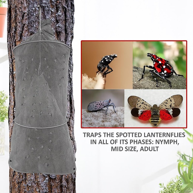 (Gray, 2 Pack) Spotted Lanternfly Mesh House Trap SLF. Simple