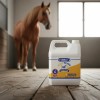 Mass Caballo Galon Aceite Vegetal